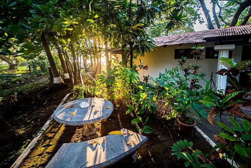 Hotel Hibiscus Cabina 4 Playa Junquillal エクステリア 写真