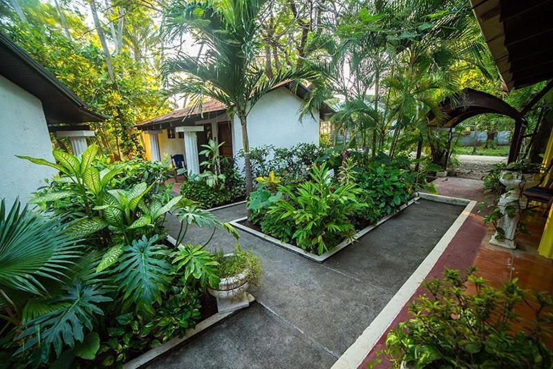 Hotel Hibiscus Cabina 4 Playa Junquillal エクステリア 写真